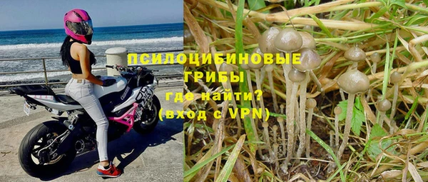 MDMA Premium VHQ Каменногорск