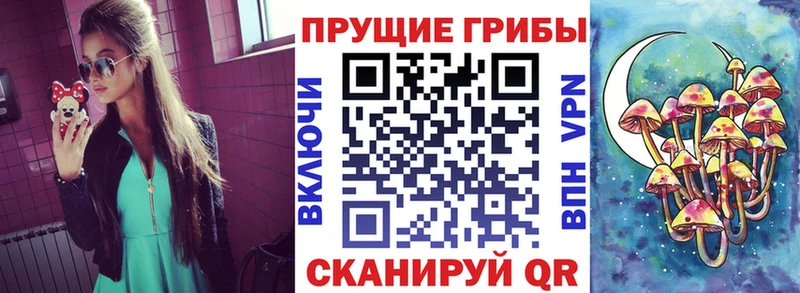 Купить закладки  Добрянка  Псилоцибиновые грибы GOLDEN TEACHER 